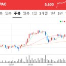 (주)심팩홀딩스