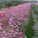 예산갈비 이미지