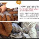 해남촌농장의 호박고구마를 선택하고 &lt;금방 먹을꺼양&gt;