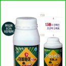 에이아그로 | 쪽파농사에 이비에이(EB-a)를 써보았더니