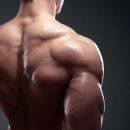 WIDE GYM (와이드짐) 네이버블로그