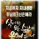 가배스토리 이미지