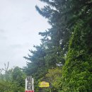 구산면600 이미지