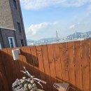 대교펜션 | 부산영도펜션 수와헤 펜션 후기 부산항대교 풀 오션 뷰와 루프탑 감성캠핑까지 🌊✨