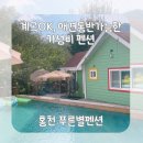 늘푸른황토방펜션 | &#39;홍천푸른별펜션&#39; 가성비 좋은 계곡과 수영장이 있는 애견동반숙소에 다녀왔어요
