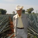 돈100 (DON100) 이미지