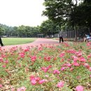 노량진근린공원 고구동산 이미지