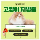 인동동물병원 이미지