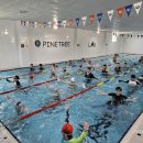 배방파인트리수영장 이미지