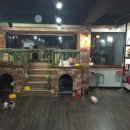 놀자멍 애견# 네이버블로그