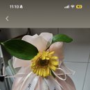 경주 과일바구니 오늘도 프룻해