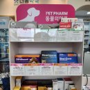 참약사봄약국 이미지