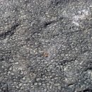 함안 용산리 함안층 새발자국화석 산지 이미지