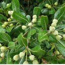 칠전농장 이미지