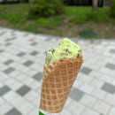 토요 시네마(9월) | [9월 일상] 사랑으로 꽉 찬 한 달