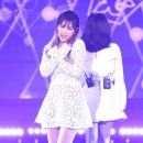 큐리독