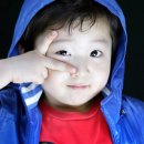 세한솔루션 이미지