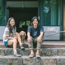 효리네 민박 이미지