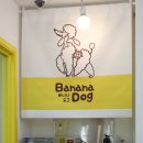 도그애견샵 이미지