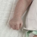 맘마존 유팡 시그니처2 내돈내산 후기+유격 ... 젖병세척기 오르테 이슈 후