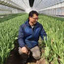 봉오리농장 이미지