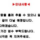 손태진 태권도장 이미지