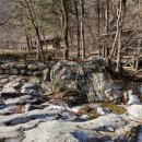 밤하늘별펜션 | 별빛촌펜션 강원도계곡펜션 방문해서 별 쏟아지는 밤하늘 즐긴 후기