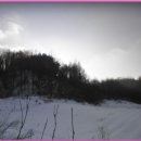 최선목장 이미지