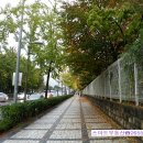드림커피솝