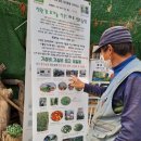 파주정수농장 이미지