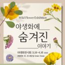 고요네 이미지