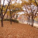 양희은 콘서트 이미지