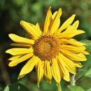 광주스마일행정사사무소 이미지