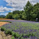필봉산길 이미지