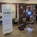 이자와울산더테라스가든점 | 울산 삼산 맛집 이자와 더테라스가든점 울산 맛집 규카츠 강추 후기