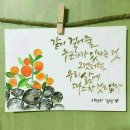 고은하루