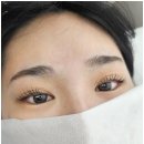 화사한속눈썹