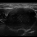 서울정통연합의원 이미지