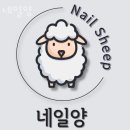 네일양 - 연수구 학나래로5번길 9 | 네일양