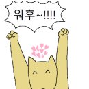 정경부인 이미지