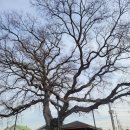 모전1리 이미지