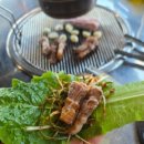 제주탐몽 이미지