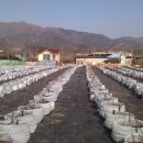 삼아농장 이미지