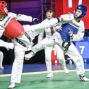 혜성태권도 이미지