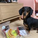 (주)펫푸드주오 이미지