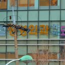 정무철정형외과의원 이미지