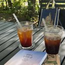 샵테라스 | 서초 스티머스 팩토리샵 :: 광합성하기 좋은 테라스카페 후기