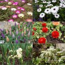 (주)모으리 | 포레스트 스파밸리에는 아이들이 놀거리가 가득해요