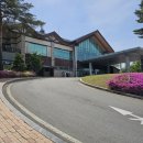 알펜시아 700 골프클럽 | 알펜시아700 골프 클럽 라운드 후기