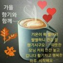 오늘도 바이올린 이미지